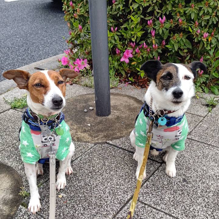 E329a699 12c0 4d8c 9035 fbc29f849172 1650067615619