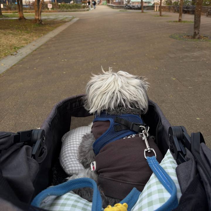 E329b5ea 6b7b 480b 8192 f7d1ade8f107 1774349108345