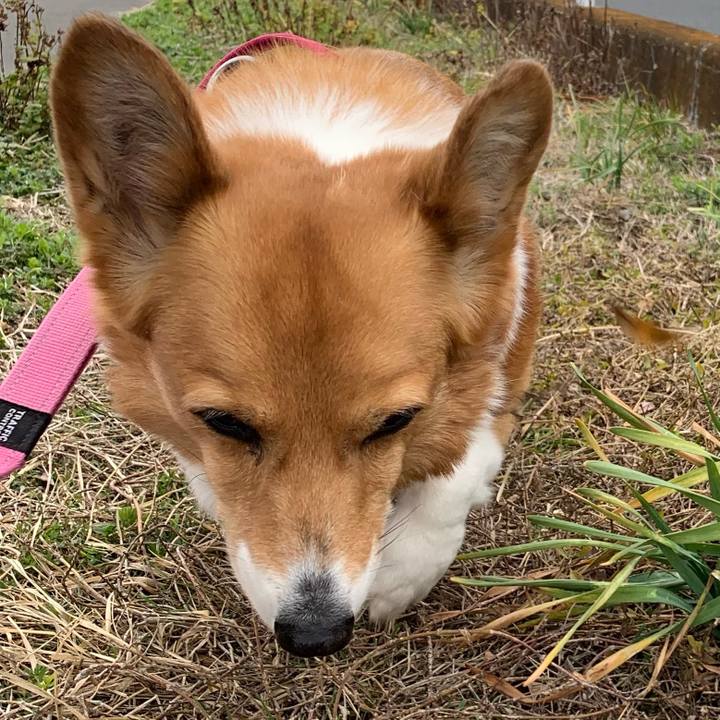 E329b605 5836 4281 b72b 3a5ca570a48d 1708828056571