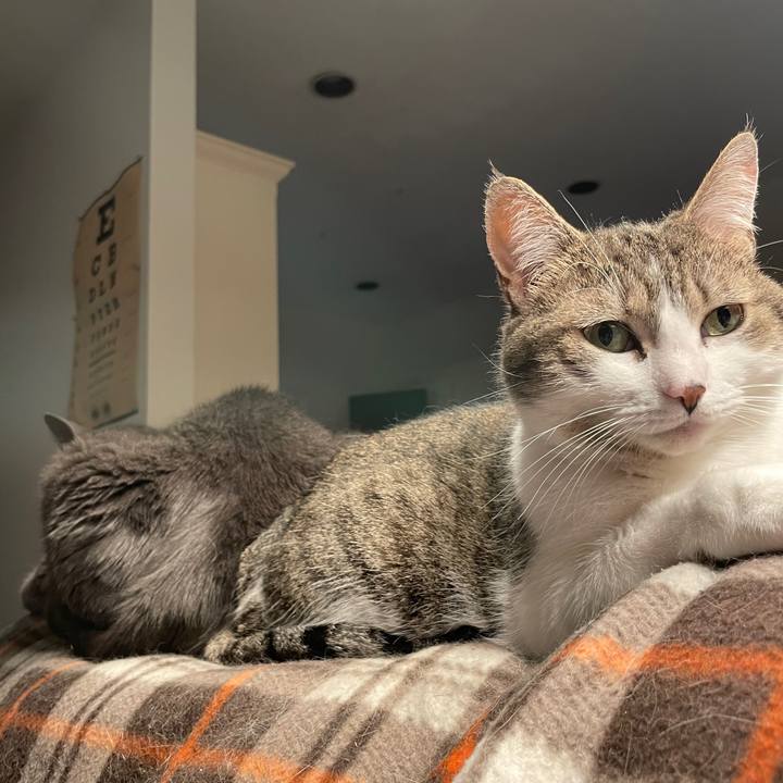 E329bb5e fb9b 435f bb83 3b66ef6d5d78 1735176255668