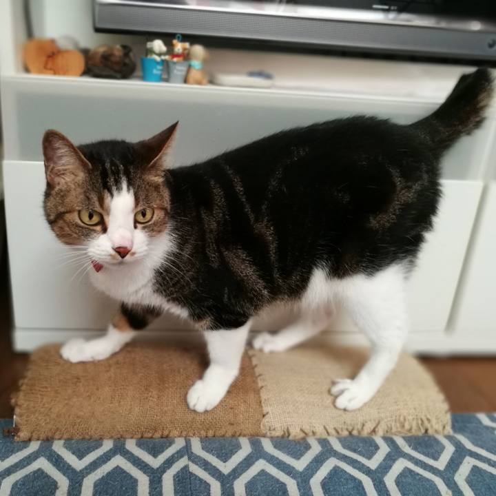 E329c31b 4b14 4454 8396 649135f05a5b 1532036584068