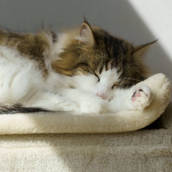 E329cbab 5e49 43b2 82f3 5ff0ef209d72 1648902174858