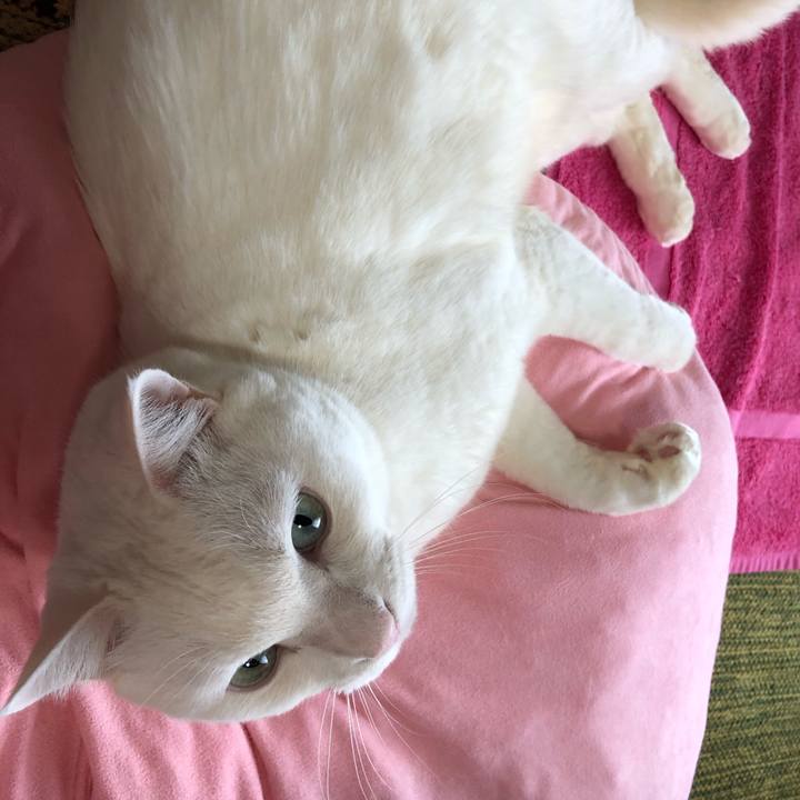 E329d137 6d41 404d 81bb 10eaa8103011 1612093856013