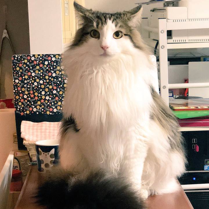 E329d309 30e2 4d88 b0cb c7583b73d716 1528969572548