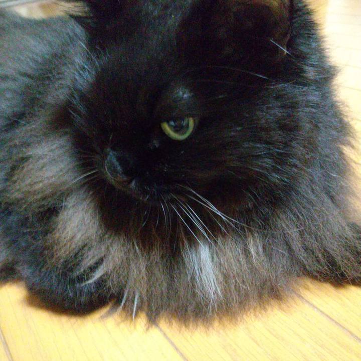 E32a1fe9 9d39 4ac0 81ca aeee5f404cb2 1700131064429