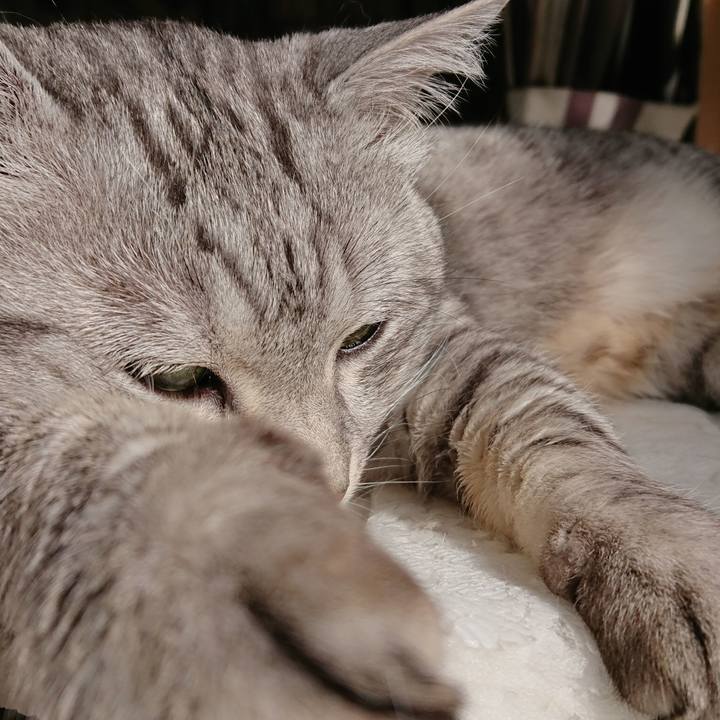 E32a3740 d912 4c75 87c5 65c3ee0e7a03 1519265386250