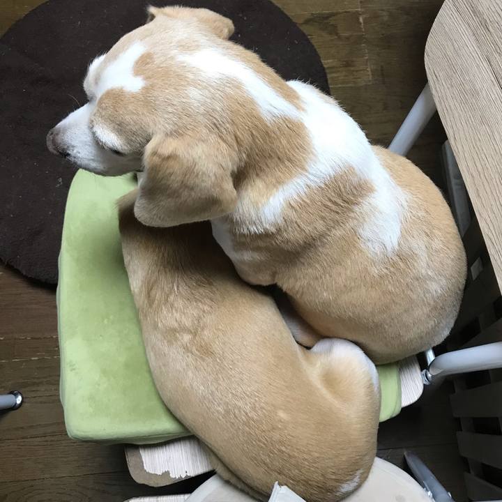 E32a4565 36c8 4350 b38d e38918c47307 1546777344120