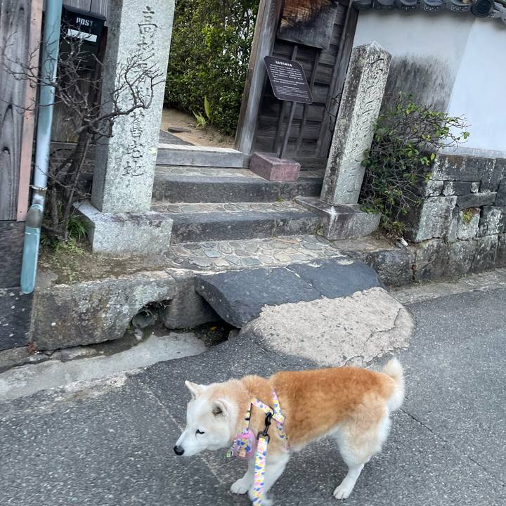 E32a5c6e 0de4 41a6 839c 783874ec2be6 1672916279433