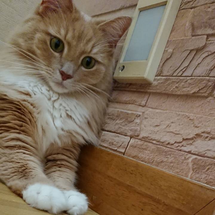 E32a648e 70ec 49f1 89b5 257ed004cbf9 1538578074011