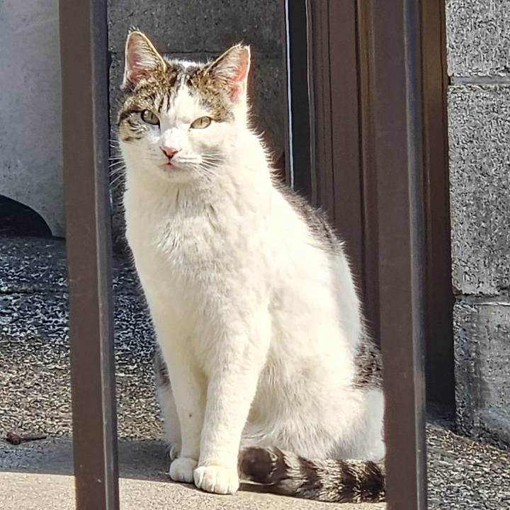 E32a73d7 c0fc 4809 867b f7adc12627a6 1742885666574