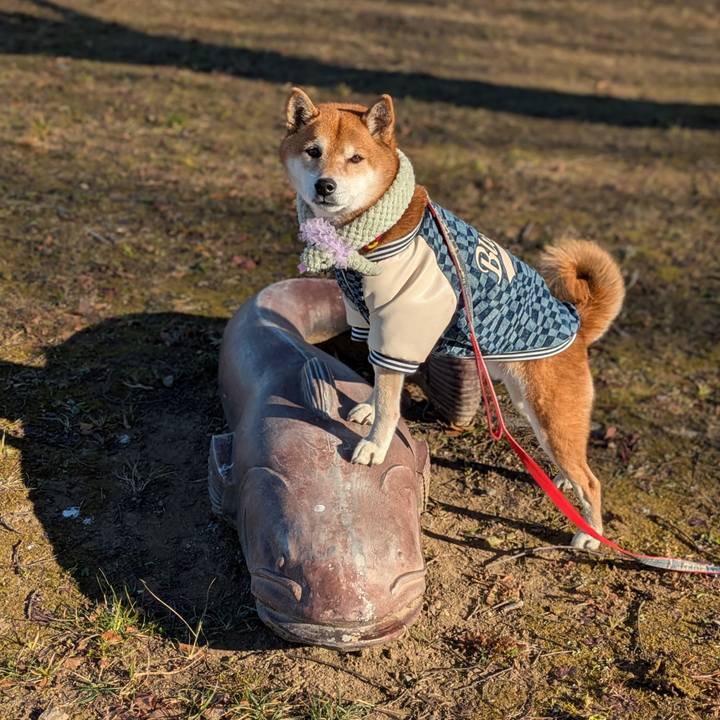 E32ab82e 2094 4c87 aac2 2d4ab29cca1b 1737215307833