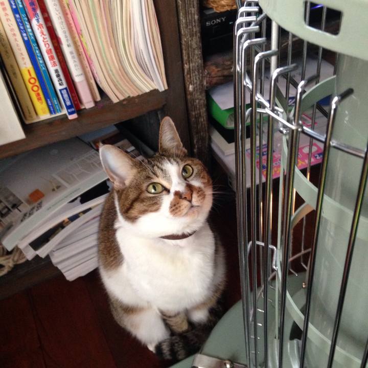 E32ad289 12a6 48ac a643 c0575e2ea5ef 1519572813561