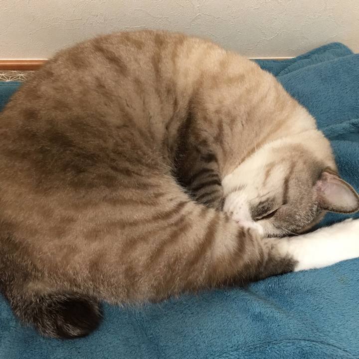 E32af815 52a5 4568 976a ba8a0cc78712 1546745578654