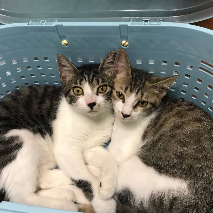 E32b0b82 7f29 4780 9d3b 079a6e129cac 1599345586091