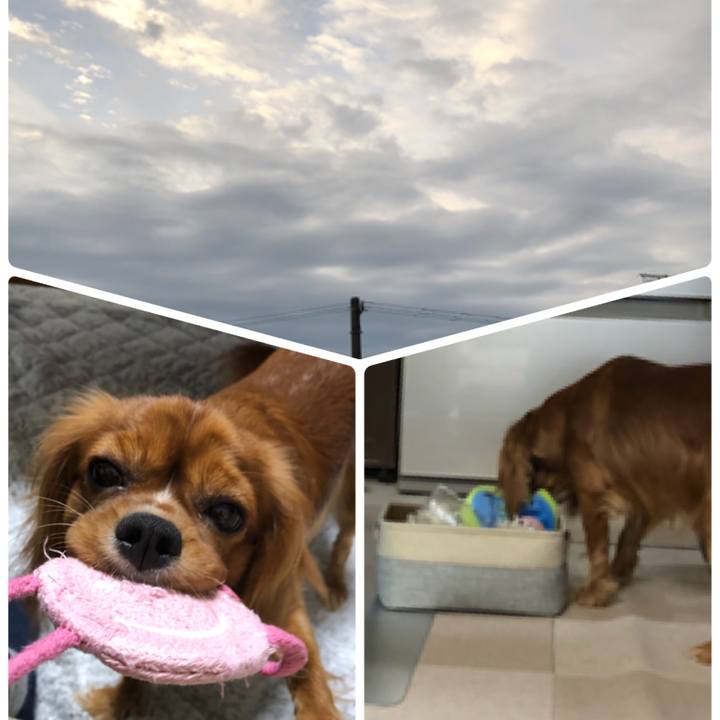 E32b1aad 38a6 4be3 ac84 8d4f33c4ac7f 1539296970249