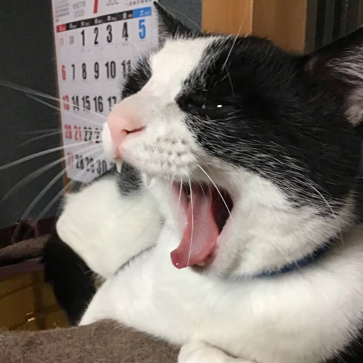 E32b56e2 8ebe 427b 846f 18f5edebc39d 1752572441638