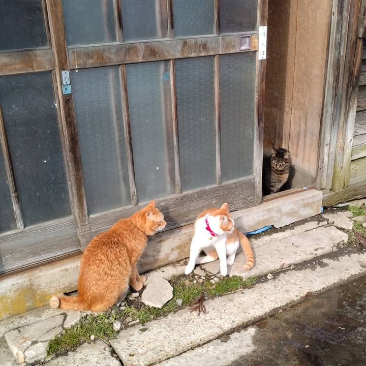 E32b6593 f11d 4349 b6fc b9cfb97e8b1c 1740721061272