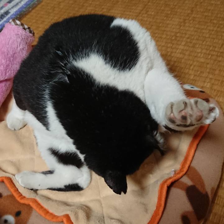 E32b6d24 1c25 4a37 a5a5 197e0afcffb3 1605708707548