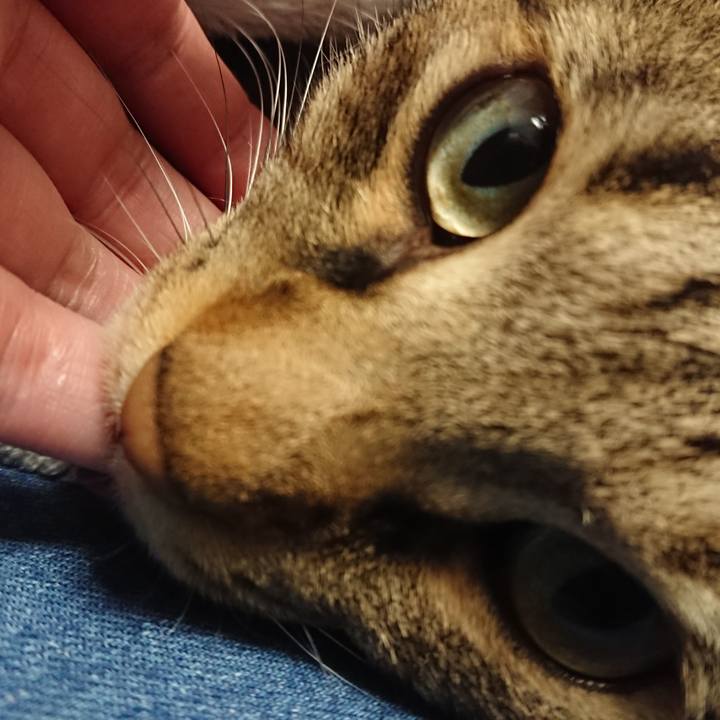 E32ba103 9137 4494 89bc 881ec204bb27 1538630185817