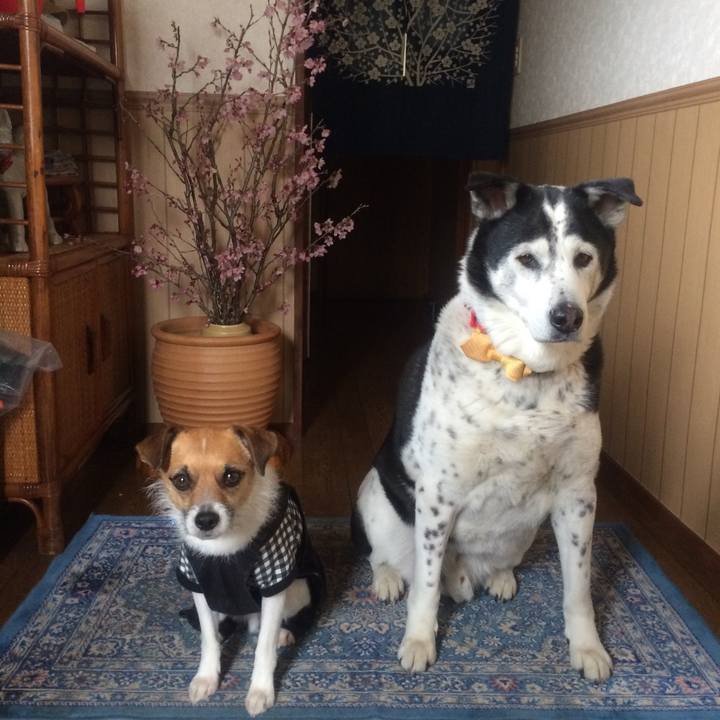 E32bbf94 96b2 4a44 bddf 0d04c4bdacf6 1520467233489