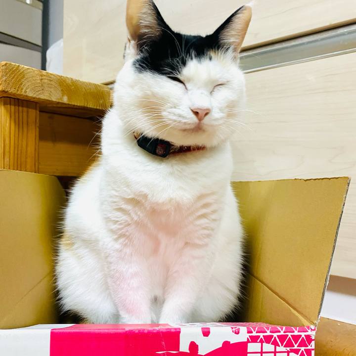 E32bd8f0 fa27 473a b49e dbf4c1d71db5 1696329691128