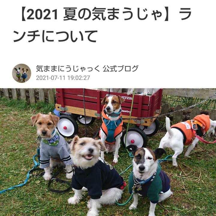 E32c0452 9ca6 48e5 86aa 6c12ab27d0df 1625998167635