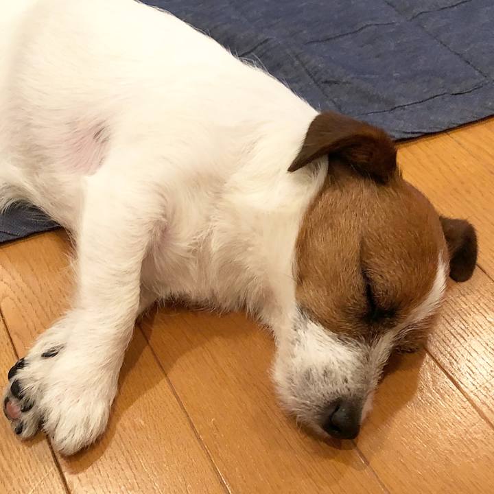 E32c368d 2fc6 4aed a31d 574e183fe050 1520513083355