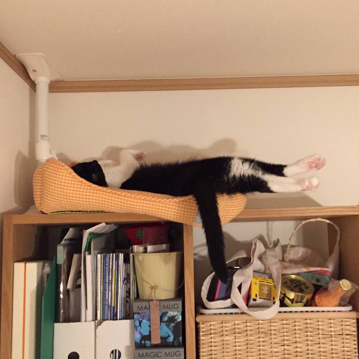 E32c5278 d7a9 4f38 aca4 95dbcf7cc587 1532314306306