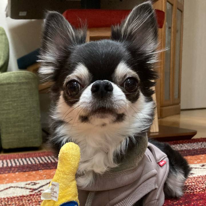 E32c6a98 9783 4d90 9b89 d05cef69e289 1672412634024