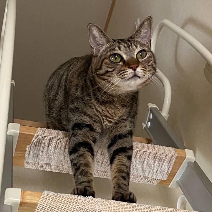 E32c6c9c a394 4123 9085 9fcf835a5c03 1664571385644