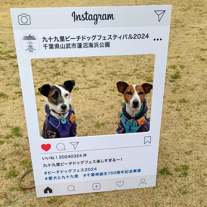 E32cfe8e 6699 48ff 862f 2900ff333886 1711246075639