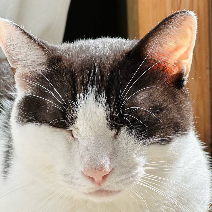 E32d5be6 c7bc 4ab0 9907 61758157e788 1665196241285