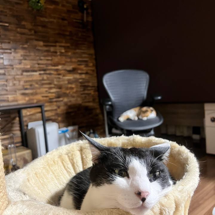 E32d8803 e613 461d a11d 97be3205ab58 1718360789447