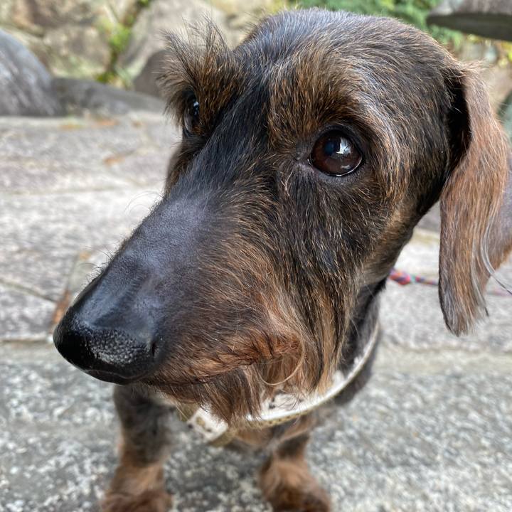 E32d8a42 333b 46f1 88ad befa6ee12cca 1619843748031