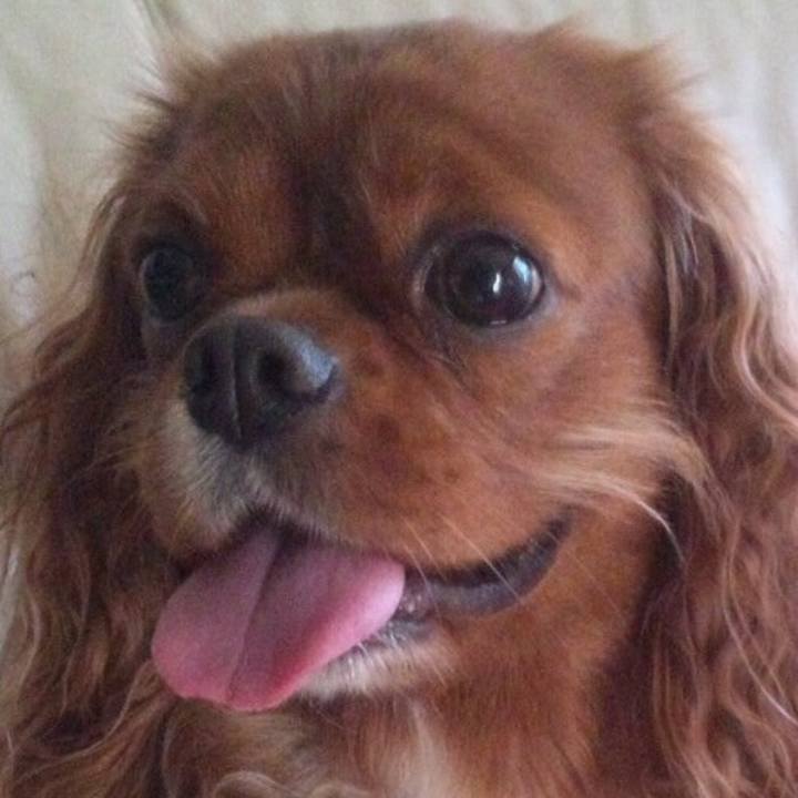 E32d9ea7 57e2 477d b70f 046fd337df41 1516623198986