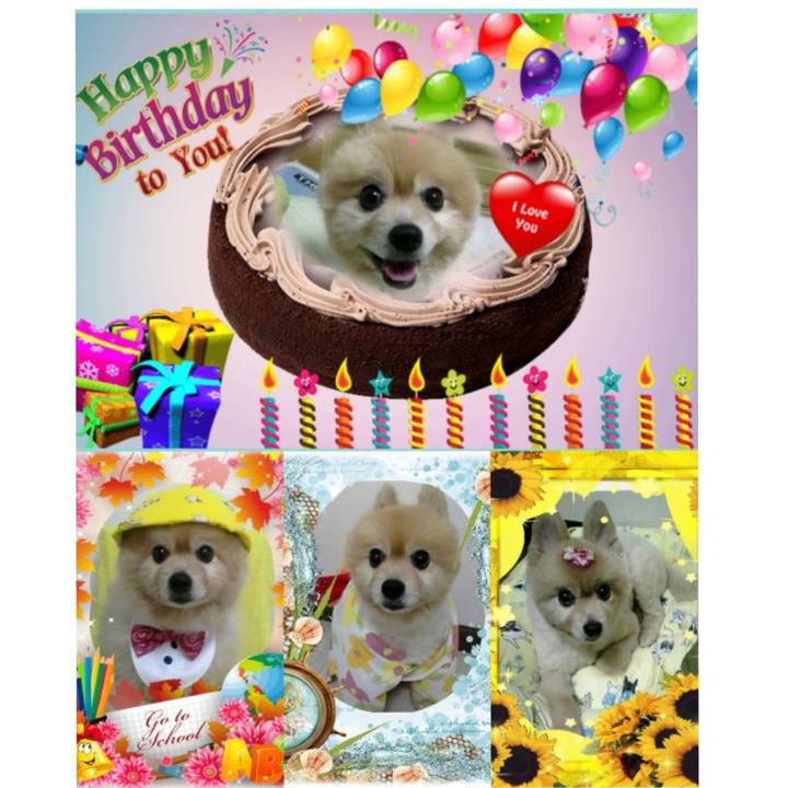 E32dbd55 936e 4587 b1b0 505bfd69ce06 1553043080232