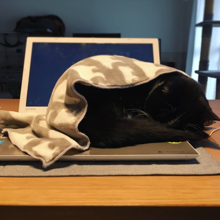 E32de174 ae24 4b2d b136 39aae140a640 1609113347107