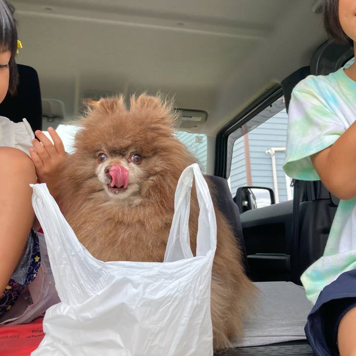 E32e0bd8 24ad 46dd a1e2 9cc74935a171 1723754747973