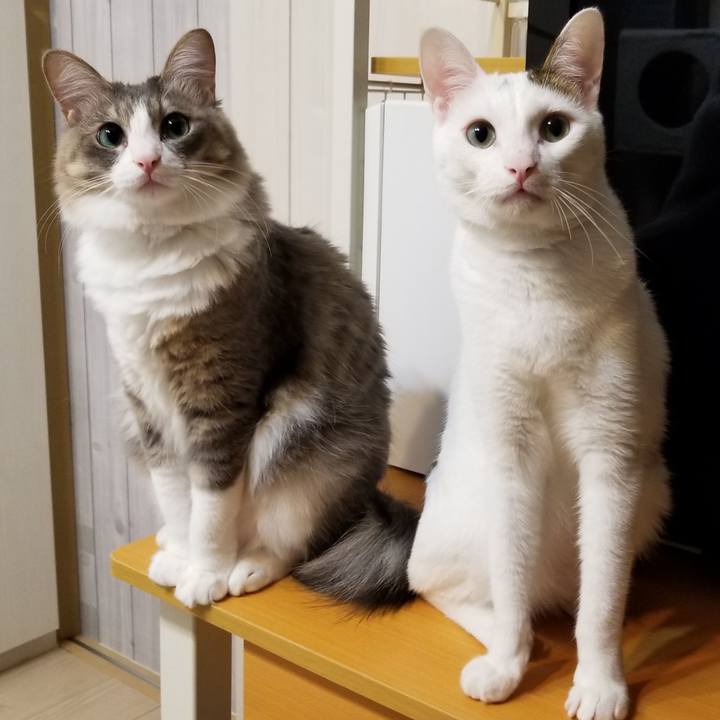 E32e3a44 c6eb 45a9 96cb 09b67f70170e 1537204921937