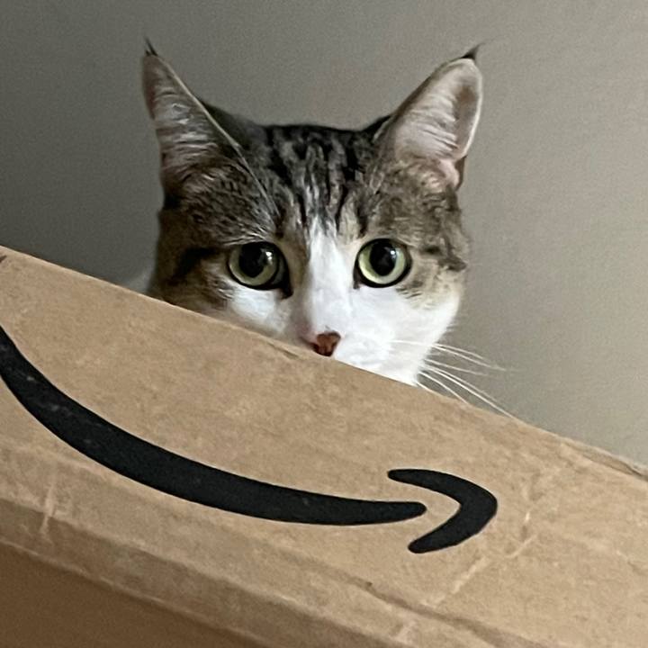 E32e6da9 5fae 40a1 9880 4f4e851f8070 1769548795571