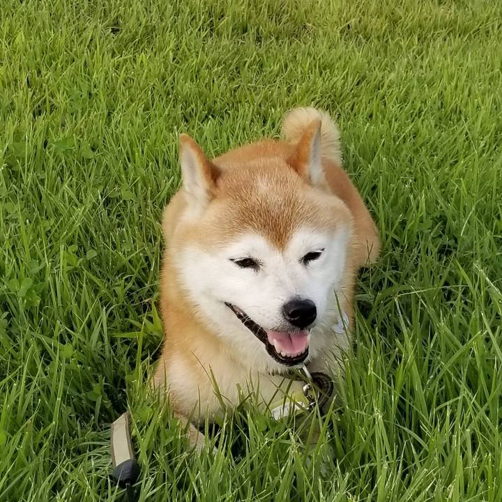 E32e8ef0 58c1 4a93 a37e 32743584ea06 1661758690973