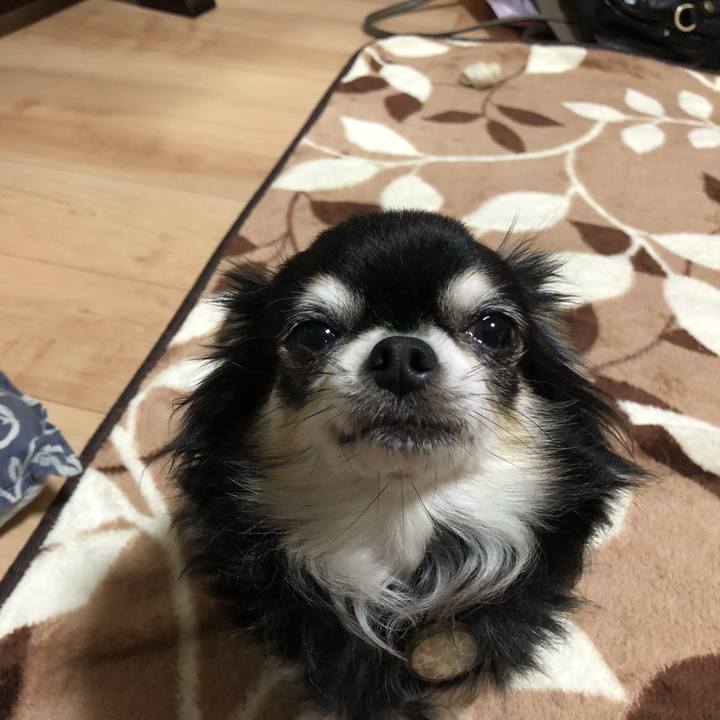 E32f0c7d 63e0 4d70 b222 273d986ce27b 1527663164235