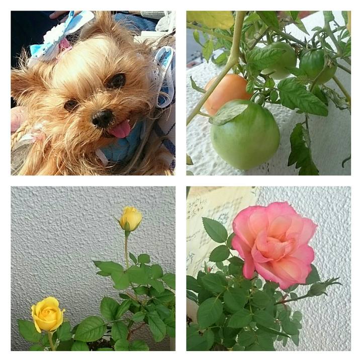 E32f1ecc 7ca8 4022 82a5 46dc2f2e088b 1541469832870