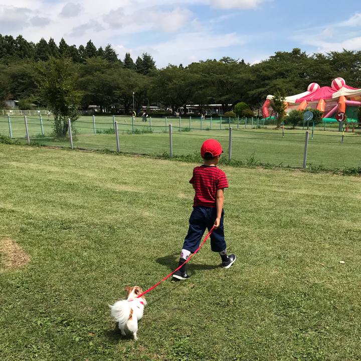 E32f3a32 38fa 44ec aebf 76bc0257b786 1535237601907