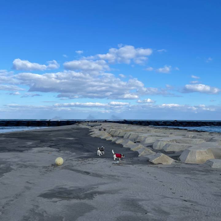 E32f450d f8f3 426d b64c 5bc990ce77d8 1646353781026