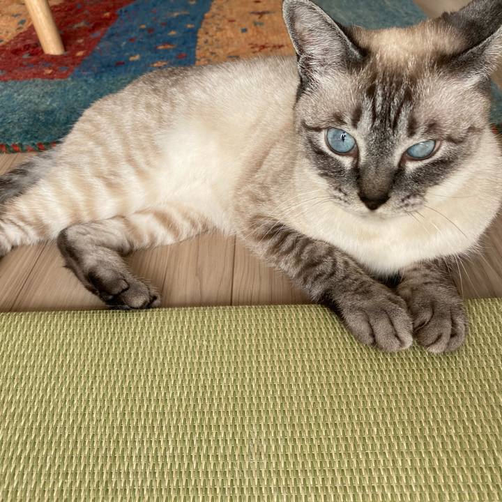 E32f5976 3449 41ba 9564 1a60100154be 1624661828312