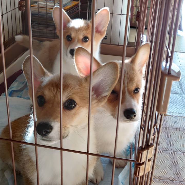 E32f5e6f 76ba 4667 8754 dda7f20b54dd 1765773254678