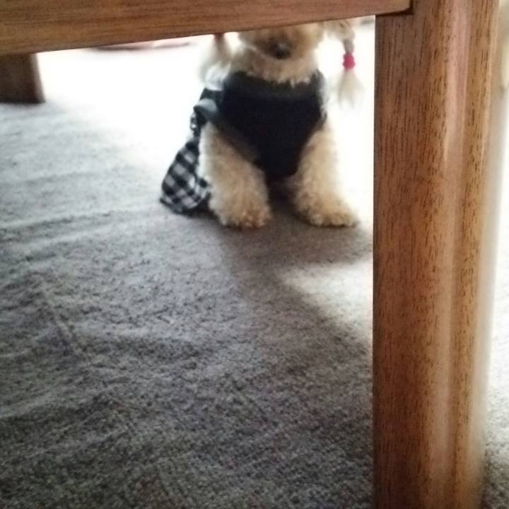 E32f7b44 3492 40b3 9e28 0d922259a910 1537516306117