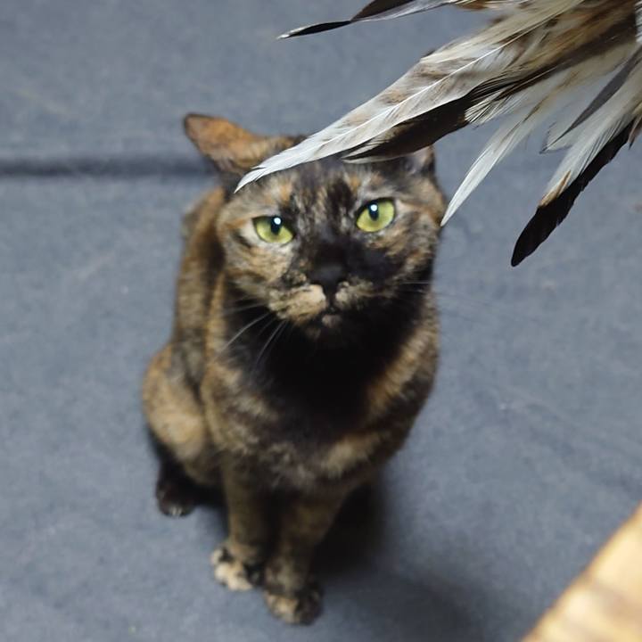 E32f896d 54e8 4952 a1ed f8824bf2f8fd 1744630988871