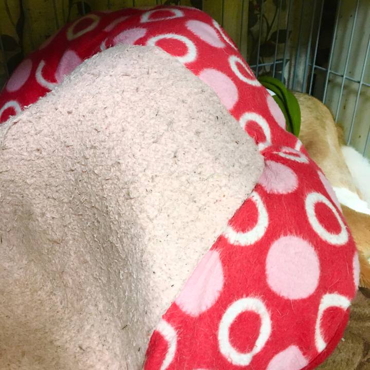 E32fc44f 1ae2 436f 8c88 b3c5a724acca 1572673096228